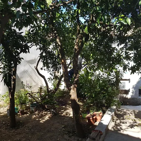 Theodora * Ágios Matthaíos